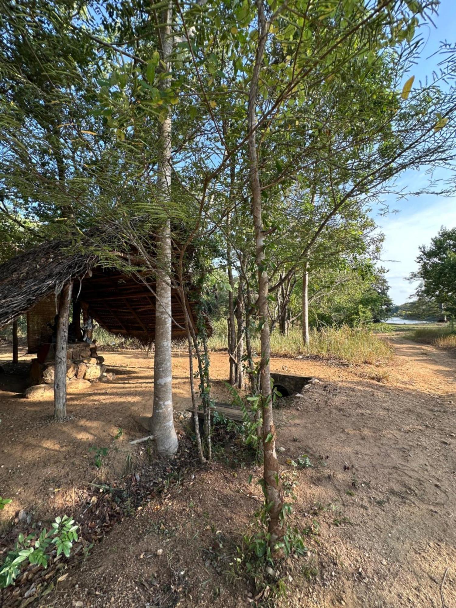 Athreya Ayurveda Ashram