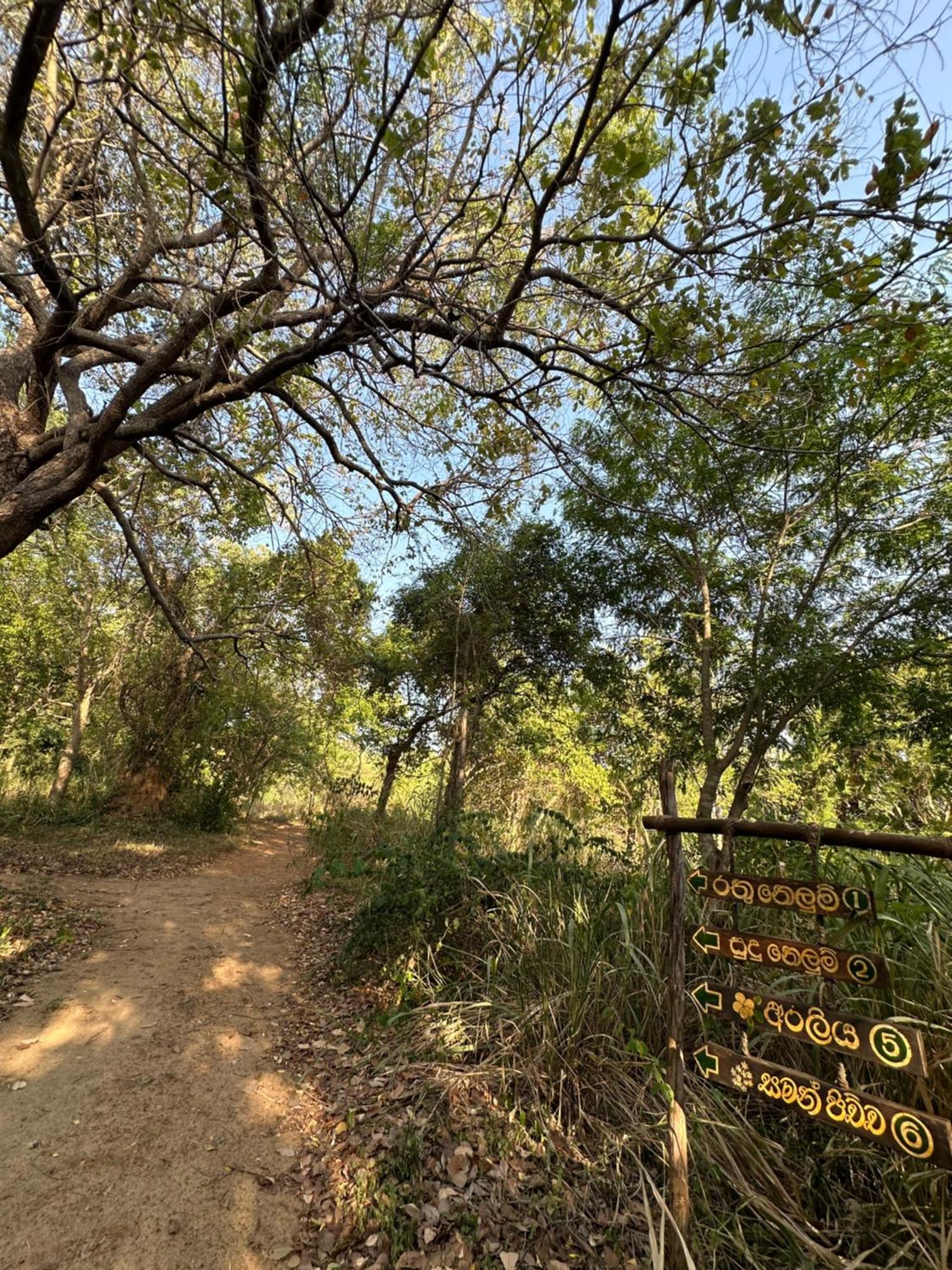 Resort Athreya Ayurveda Ashram