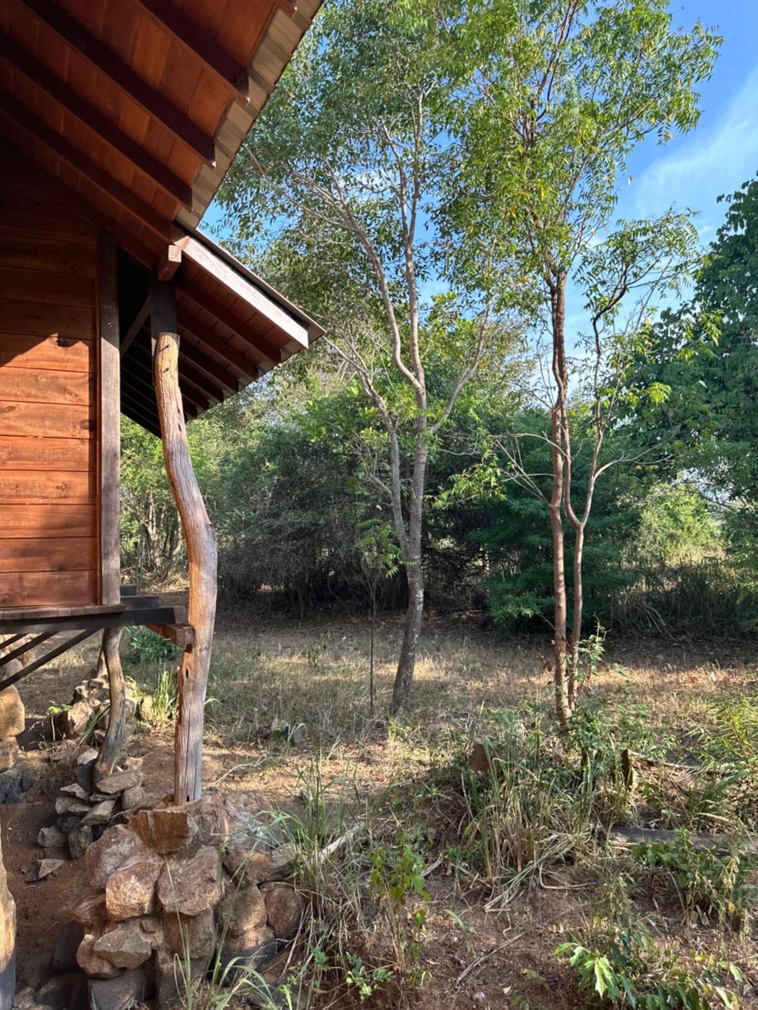 Athreya Ayurveda Ashram Resort *