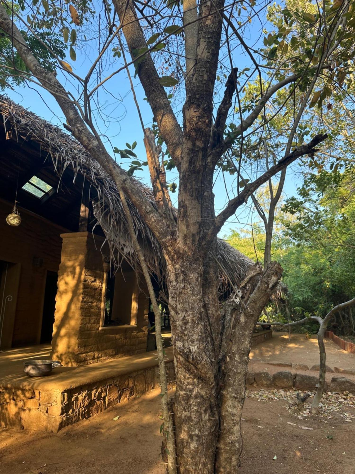 Athreya Ayurveda Ashram Resort Habarana