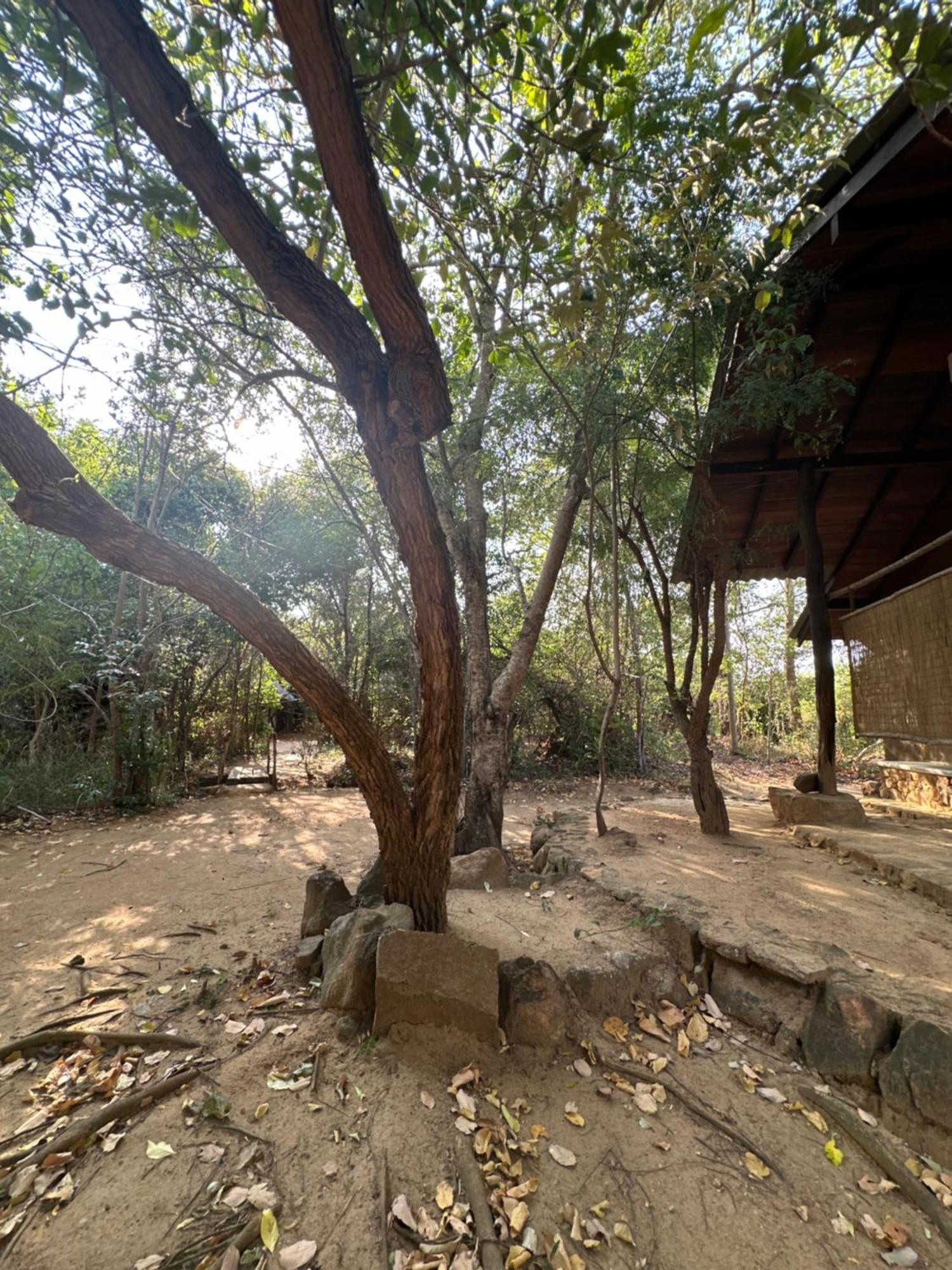 Athreya Ayurveda Ashram * Habarana