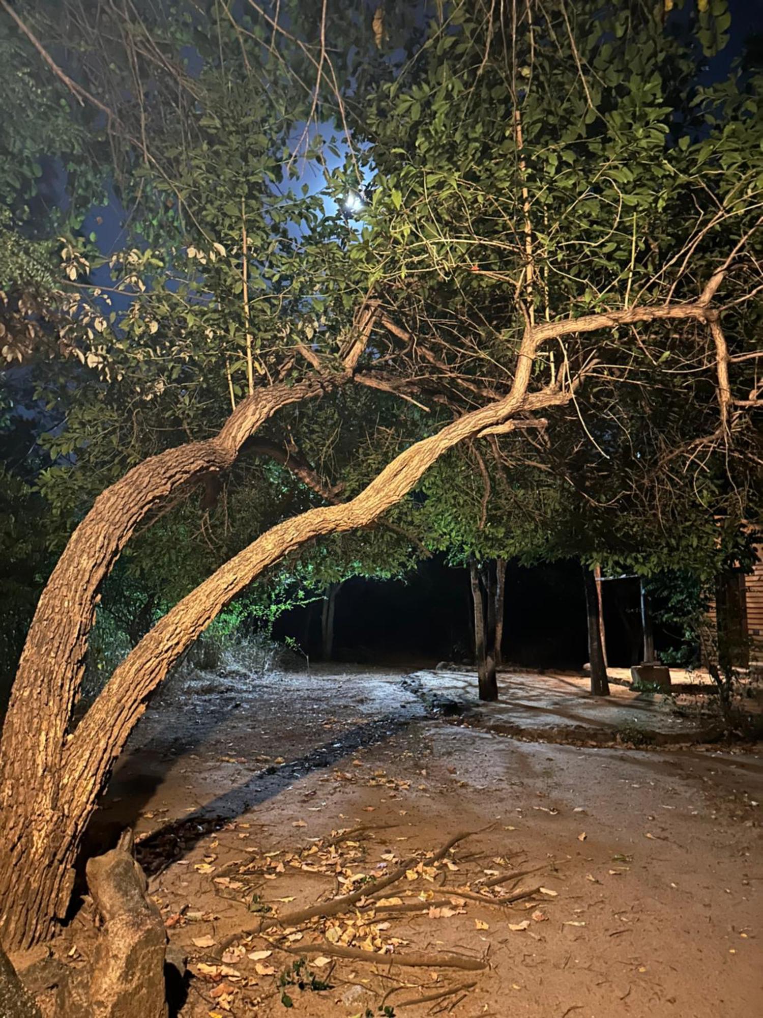 Athreya Ayurveda Ashram Resort *