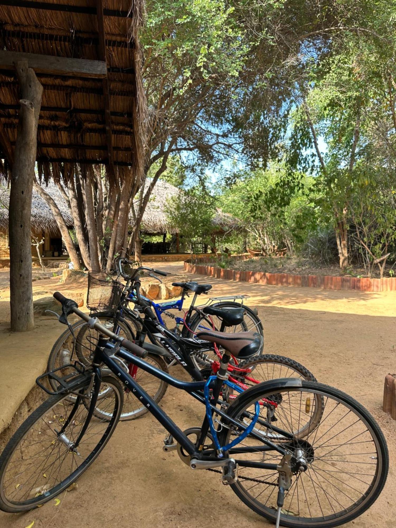 Resort Athreya Ayurveda Ashram Habarana
