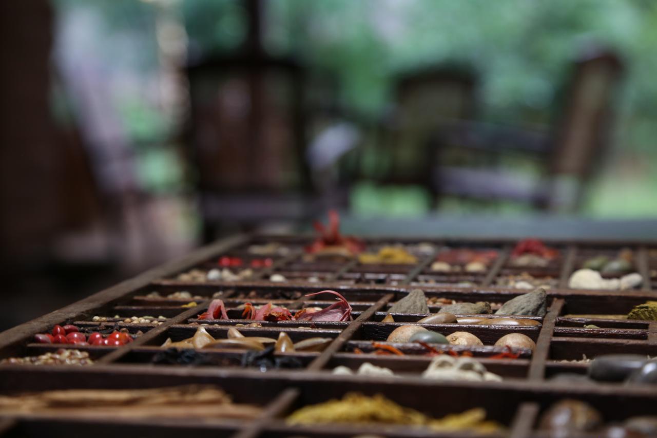 Athreya Ayurveda Ashram Resort Habarana