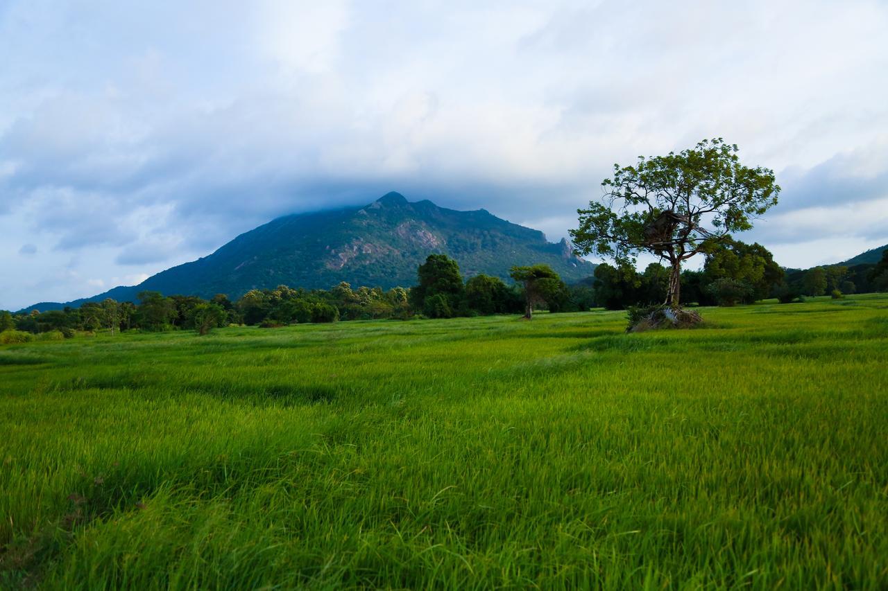 Athreya Ayurveda Ashram Resort