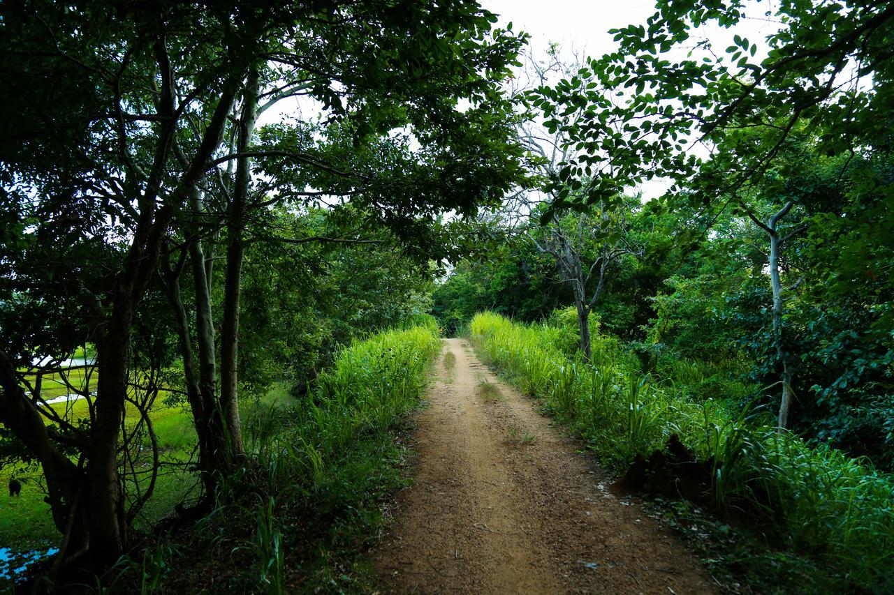Resort Athreya Ayurveda Ashram Habarana