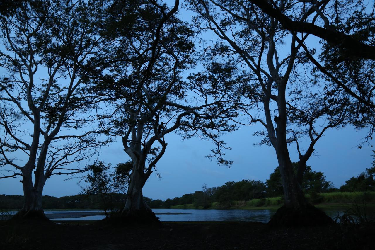 Athreya Ayurveda Ashram Resort