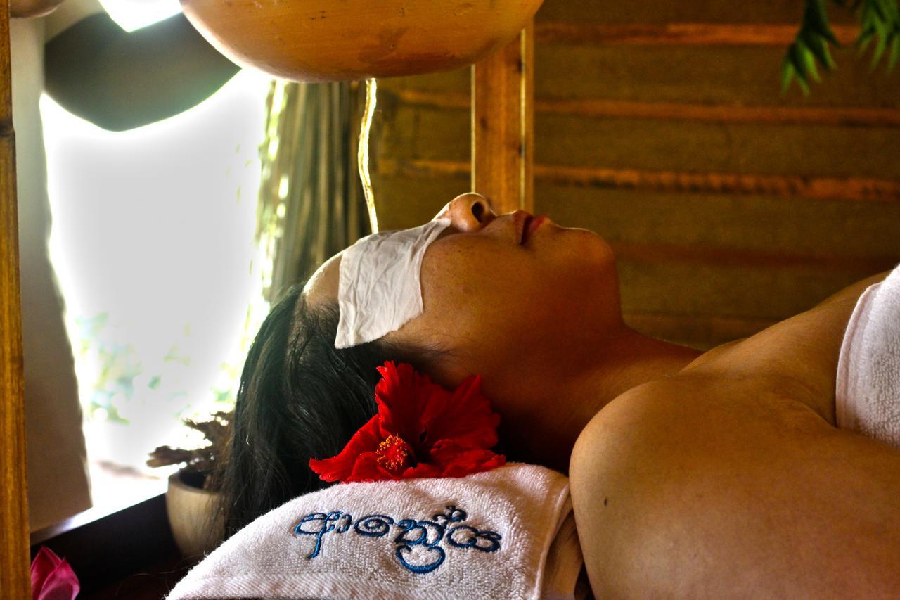 Resort Athreya Ayurveda Ashram *