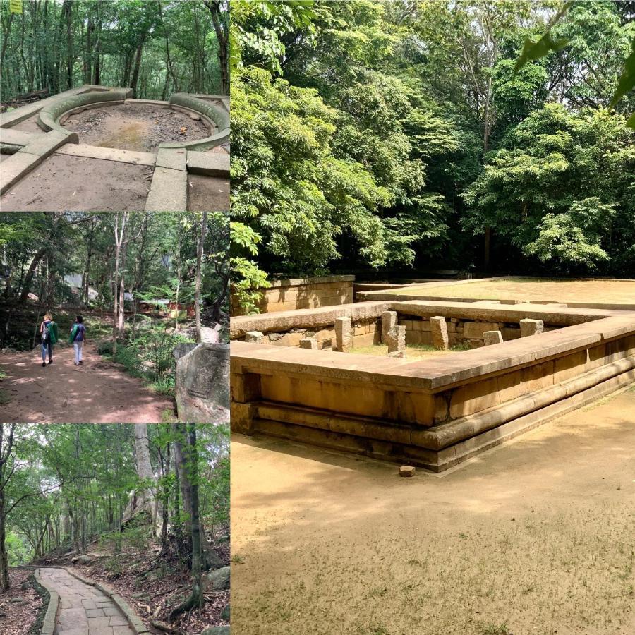 Athreya Ayurveda Ashram Resort *